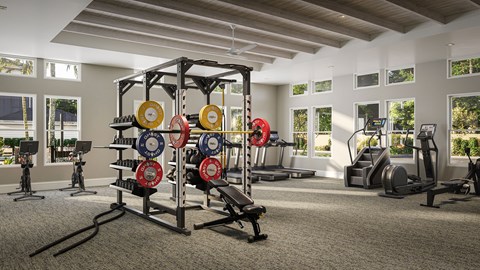 Luxury Apartments in Bradenton, FL, with In-Unit Washer and Dryer - Eventide Apartments - Fitness Center With A Weight Rack, Cardio Machines, Large Windows, High Ceilings, and Ceiling Fan.