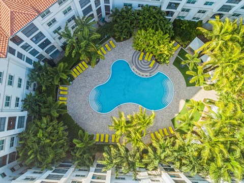 an aerial view of a pool in an apartment building with palm trees