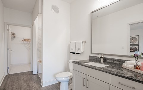 a bathroom with a mirror and a toilet and a sink