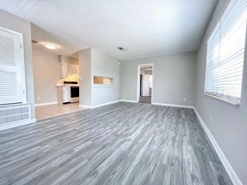 Colony House - Photo Gallery 4