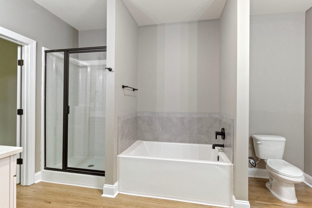 a bathroom with a tub and a shower and a toilet