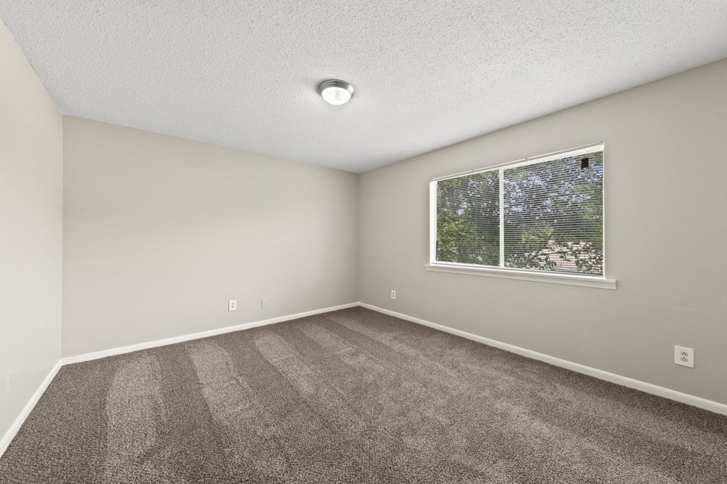 an empty room with carpet and a window