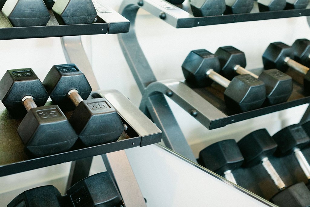 the sylvan free weights