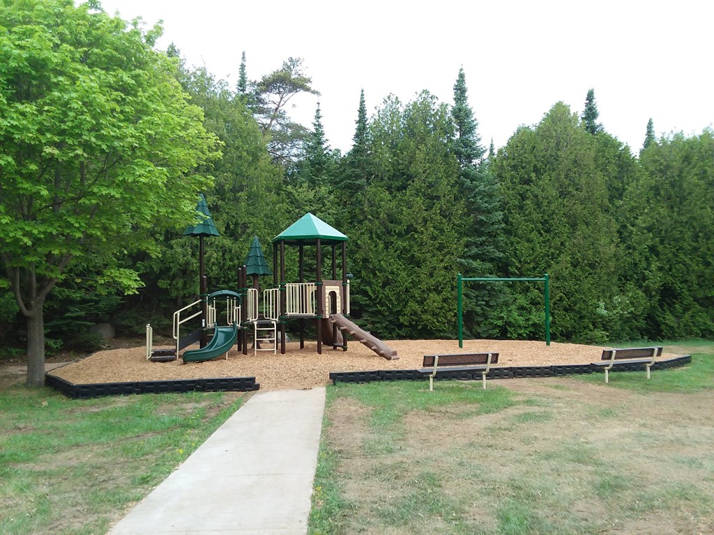 a playground in a park with trees in the background