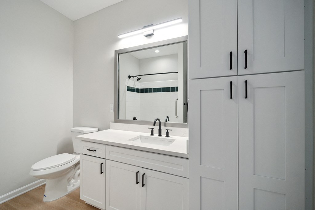 a bathroom with a sink and a mirror and a toilet
