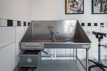 A stainless steel sink in a kitchen with a paw print on the waste bin