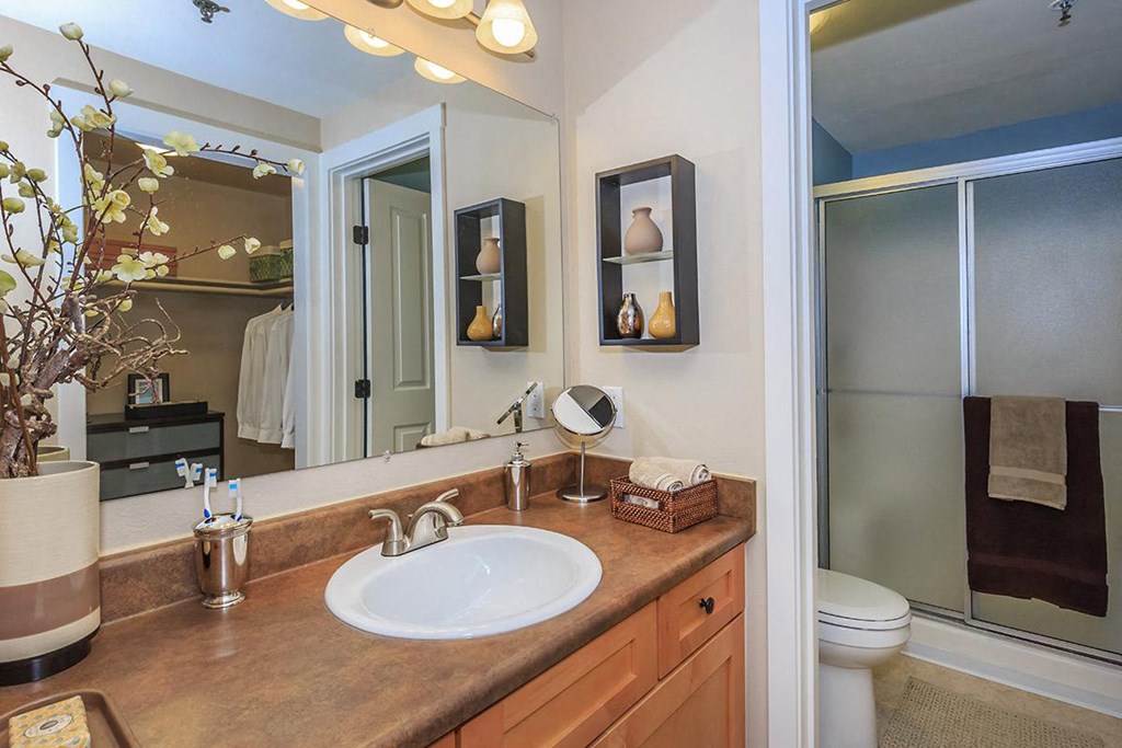 a bathroom with a sink and a toilet