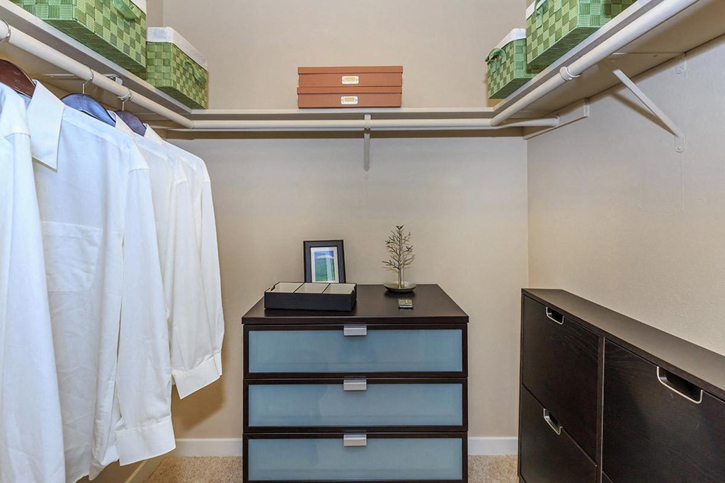 a walk in closet with a dresser and shelves