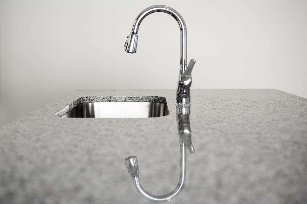 a close up of a kitchen sink and a faucet