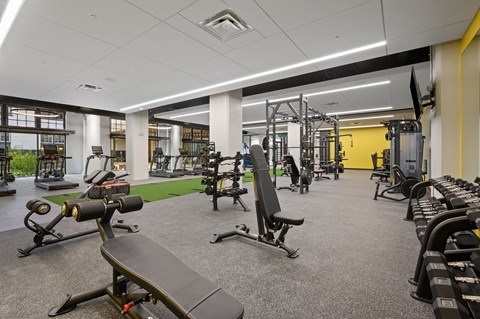 an image of a gym with weights and other exercise equipment