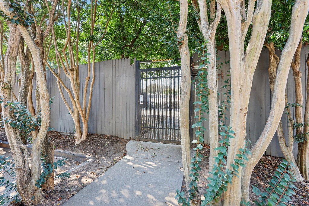 A tree-lined walkway leads to a gate.