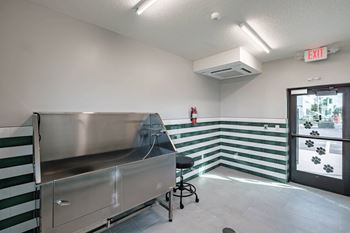 A room with a striped green and white wall and a stainless steel counter at Altis Santa Barbara, Florida