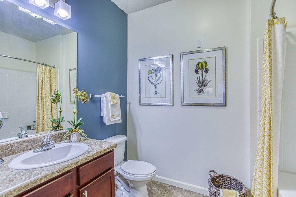 links at pebble creek bathroom