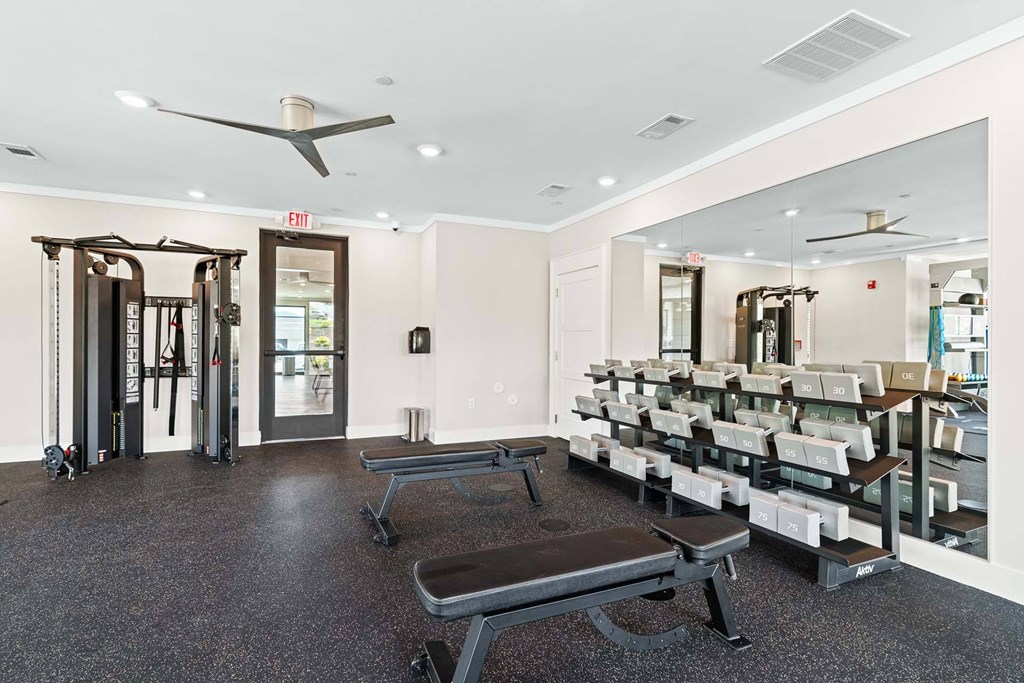 A gym with a bench, weights, and a mirror.