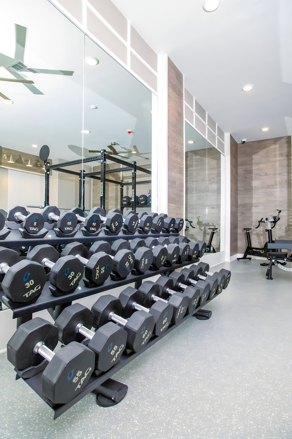 a gym with dumbbells on the floor and a wall of mirrors
