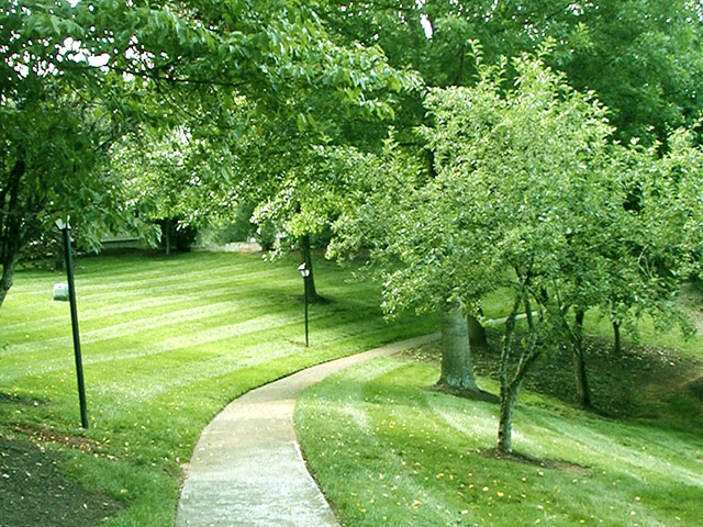 Mountain View walking trail.