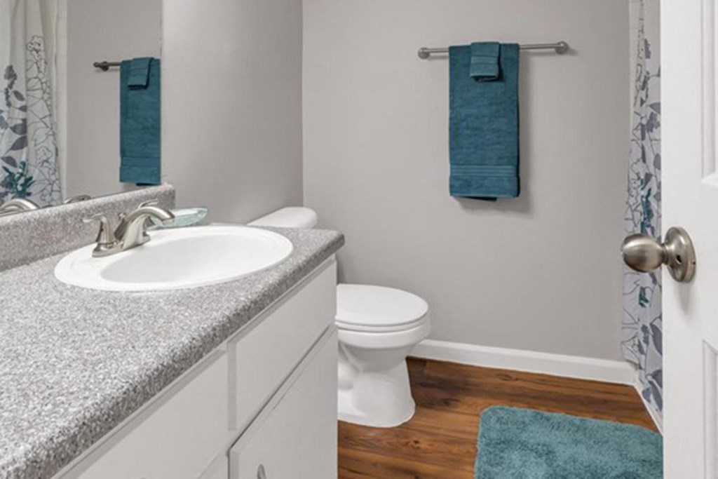 Scenic Ridge Bathroom