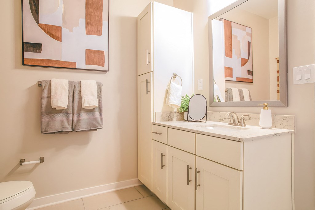 a bathroom with a sink and a mirror and a toilet