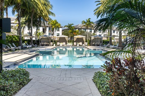 A pool surrounded by palm trees and plants.