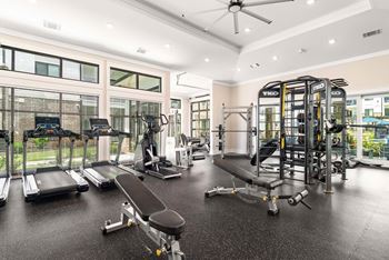 A gym with a variety of equipment including treadmills, weights, and a bench press.