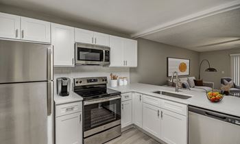 Stainless Steel Appliances*