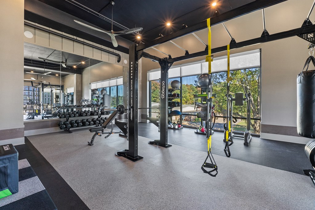 A gym with a variety of equipment including a punching bag.