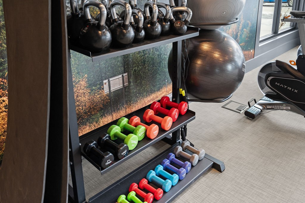 A gym with a variety of weights and a large exercise ball.