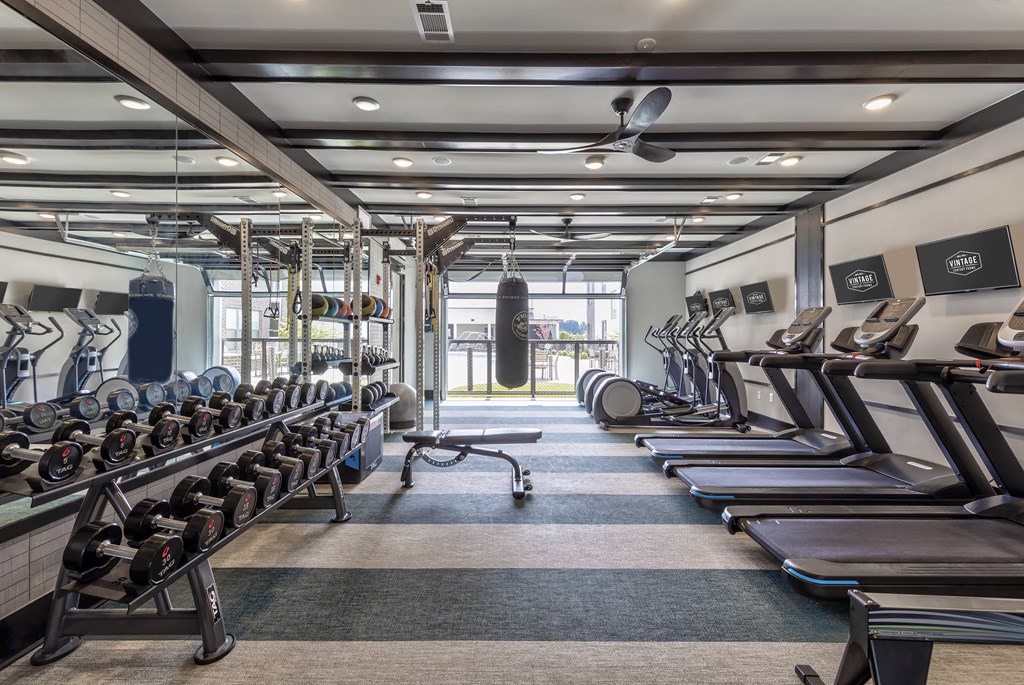 a gym with rows of cardio equipment and windows