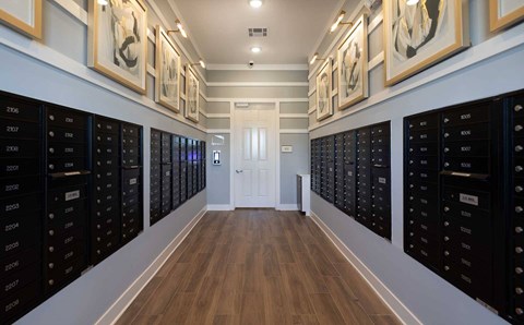 Vintage Brunswick Apartments