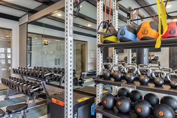 a gym with weights and a rack of balls