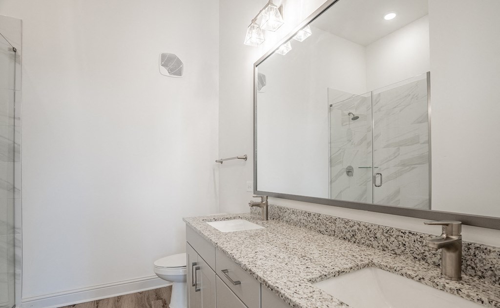 a bathroom with a sink and a mirror and a shower