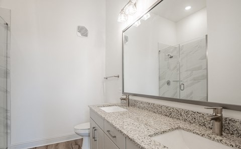 a bathroom with a sink and a mirror and a shower