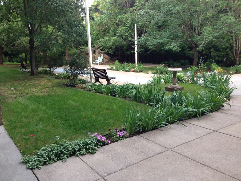 a formal garden i designed