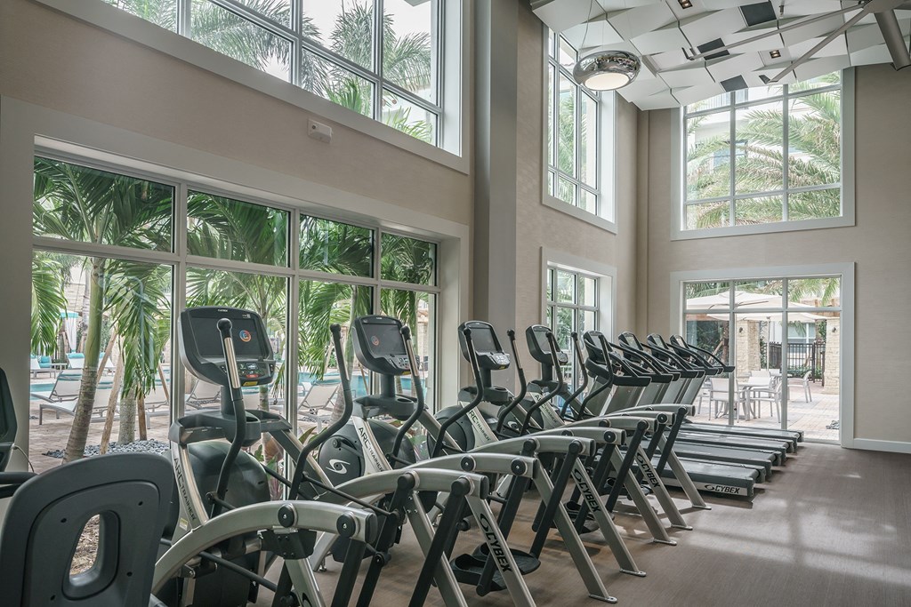 a row of cardio machines in a fitness room with large windows