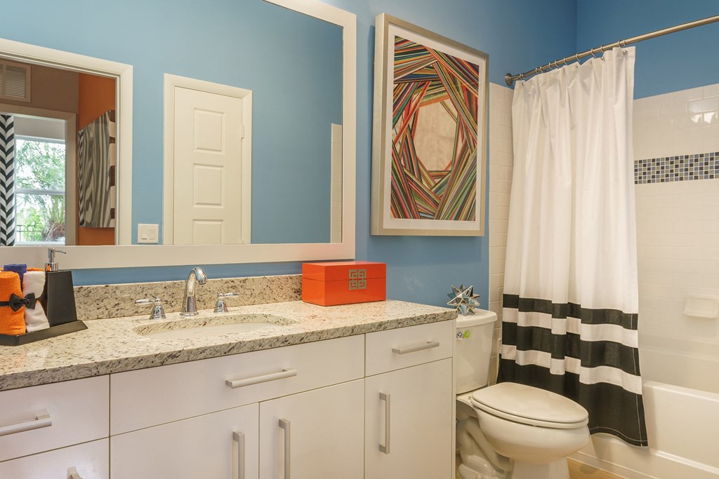 a bathroom with a sink and a toilet