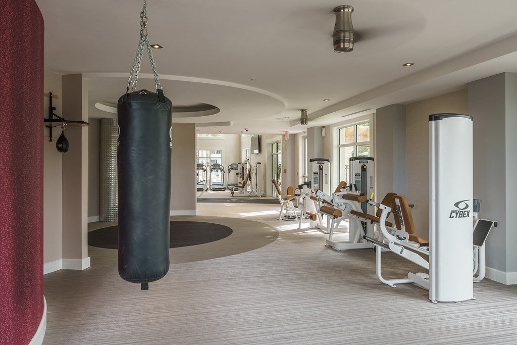 a punching bag hanging from the ceiling in a gym