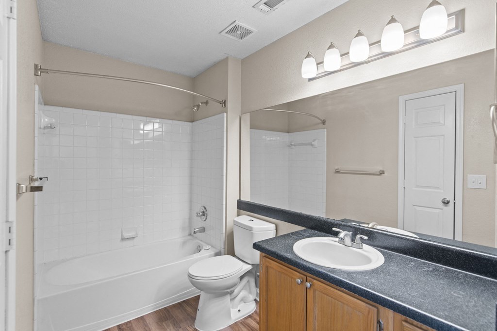 a bathroom with a sink and a toilet and a bath tub