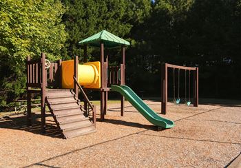 a playground with a yellow slide and a green slide
