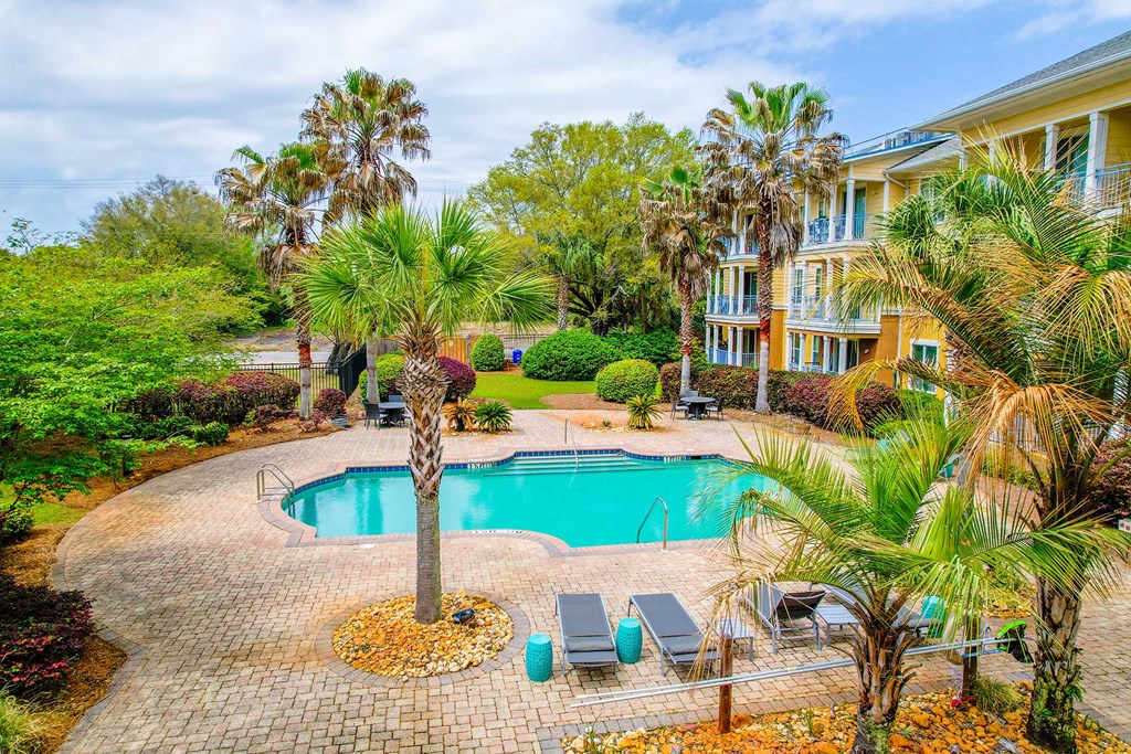 A pool surrounded by palm trees and a house.