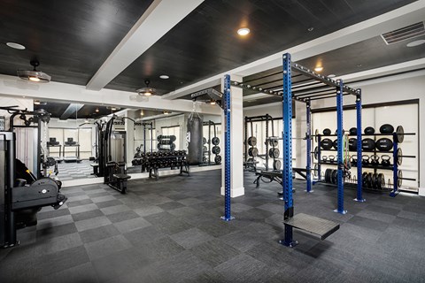 A gym with a variety of equipment including weights and a bench.