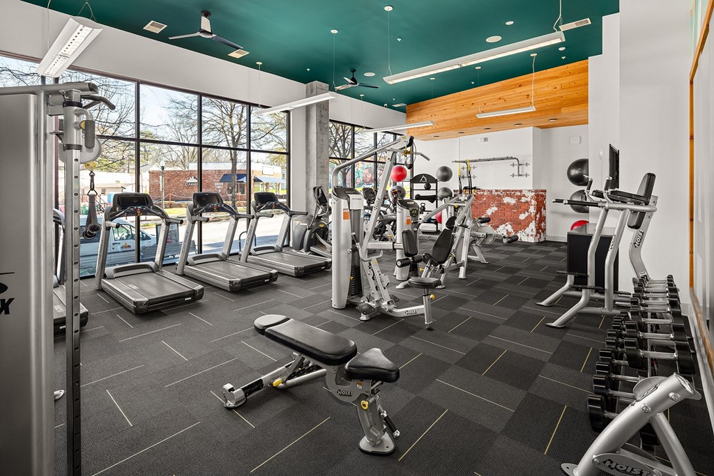 Dog-Friendly Apartments In Decatur, GA - ARLO - Fitness Center With Free Weights, Cardio Machines, Strength Training Equipment, Workout Benches, Window Wall, Yoga Balls, And Ceiling Fans.