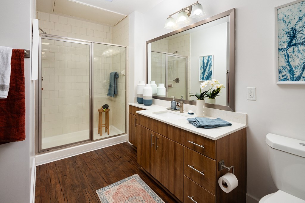 a bathroom with a shower and a sink and a mirror