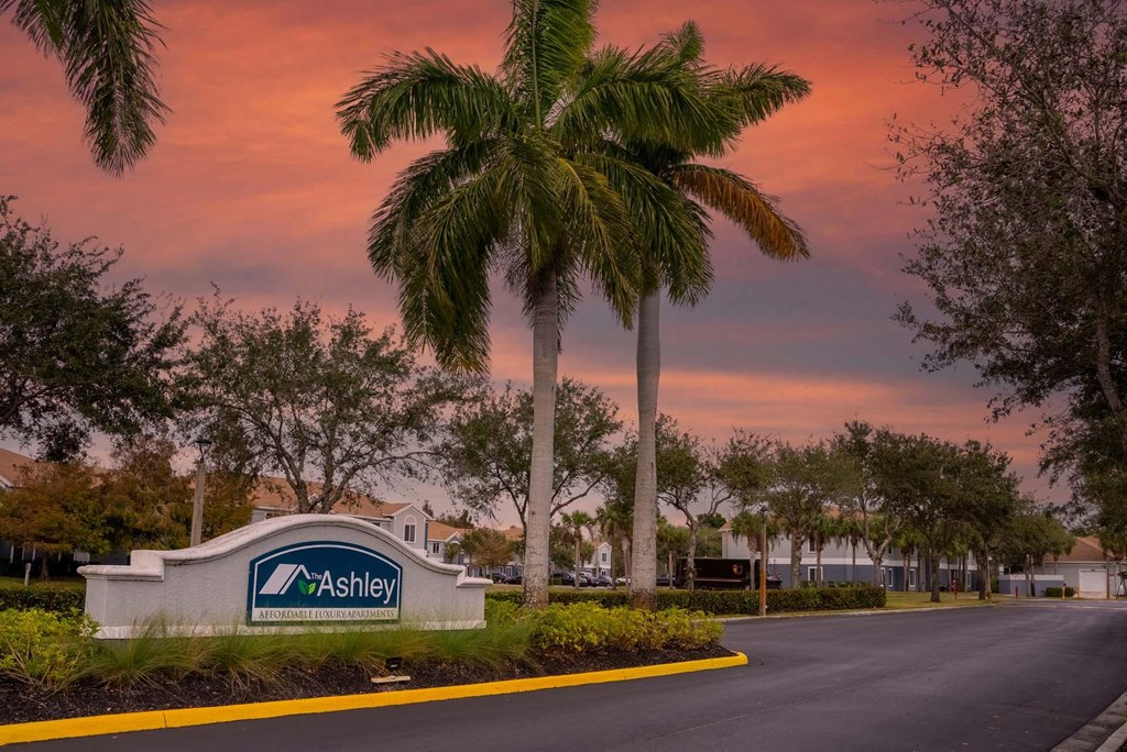A sign for Ashley in front of a palm tree.