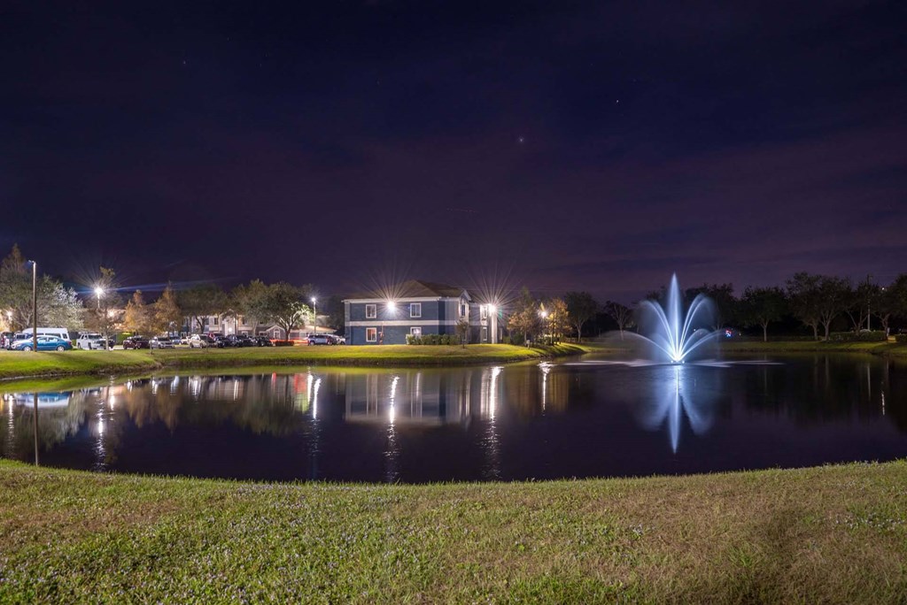 A beautiful fountain in the middle of a lake at night.