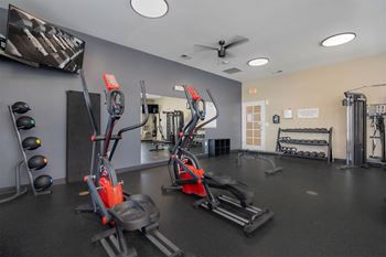 A gym with a variety of equipment including treadmills, weights, and a television.