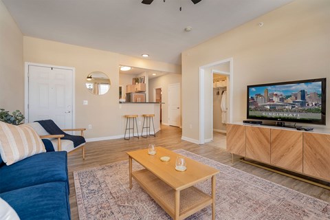 A living room with a television and a couch.