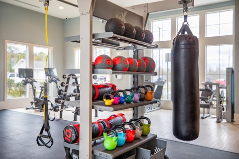 Apartments in Pooler, GA, with In-Unit Washer and Dryer - Miro - Fitness Center With Colorful Kettlebells, Medicine Balls, Punching Bag, Large Windows, And Cardio Equipment.