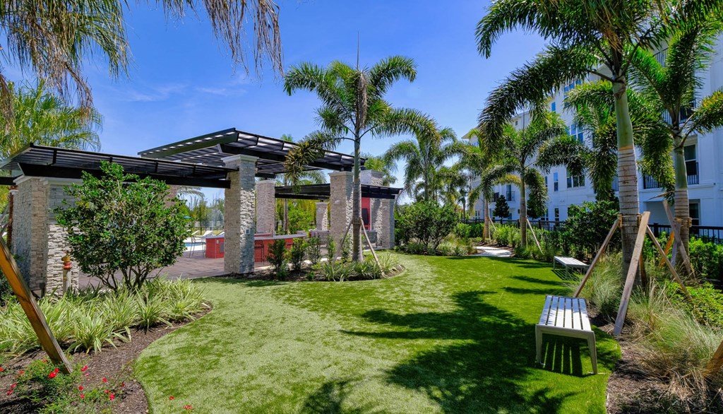 a garden with grass and palm trees