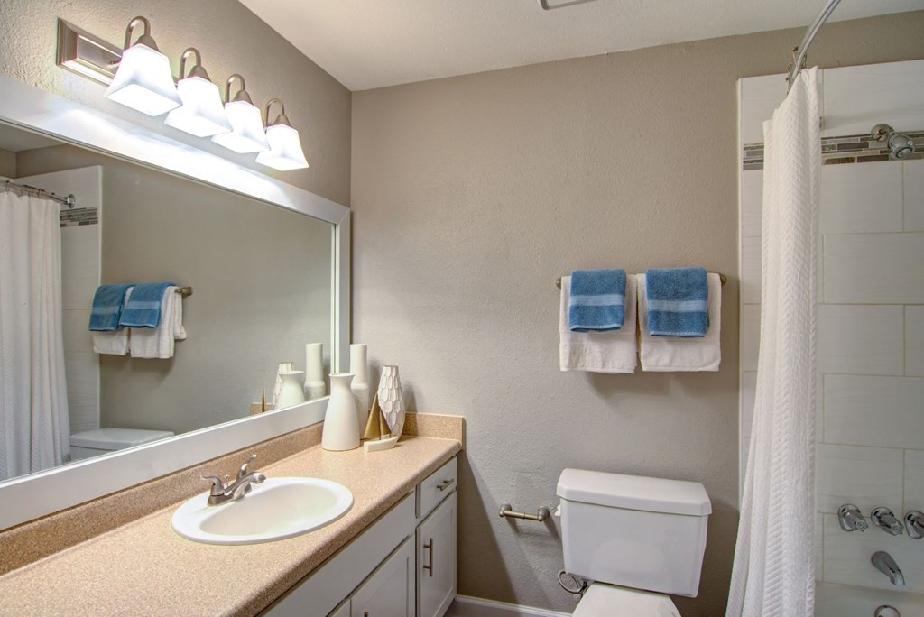 Barrington Hills Bathroom