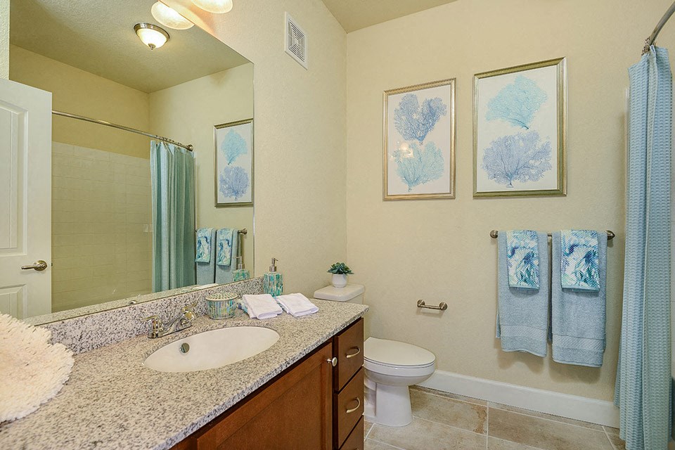 Primary bath with walk-in shower